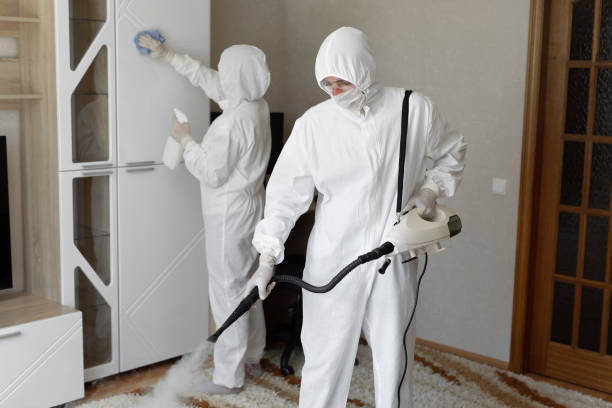 Best Crawl Space Mold Removal  in West Pittston, PA