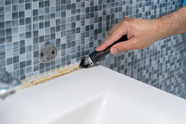 Best Mold Remediation  in West Pittston, PA
