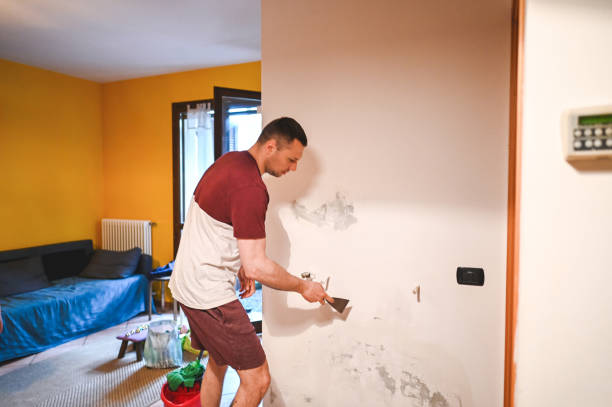 Best Best Mold Removal Companies  in West Pittston, PA